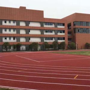 China Customize Synthetic Athletic Track Epdm Rubber Running Track Anti UV Labosport Certificate wholesale