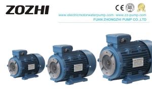 China Female Shaft Three Phase Hydraulic Pump, 380V Asynchronous Electric Motor IP54 IP55 on sale