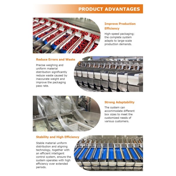 Speed Meets Precision: The Ultimate Small Fruit Packaging Solution