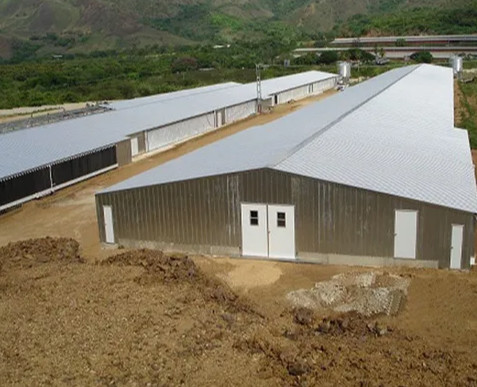 Customized Large Span Steel Structure Warehouse with High Structural Strength for Industrial Use