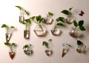 China handblow hanging glass vase plant terrarium planting home decoration wholesale