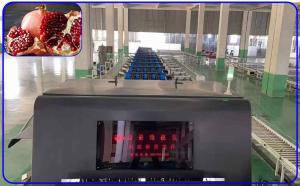 China Accurate Pomegranate Fruit Sorting Machine 3 Channel 380V 50Hz Intelligent wholesale