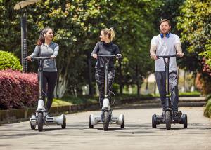 China Shock Absorption 30km Mileage 250W 3 Wheel E Scooter wholesale