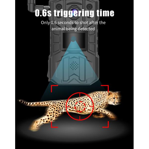 Live View On Smartphone 4G LTE Hunting Camera Wireless Deer Scouting
