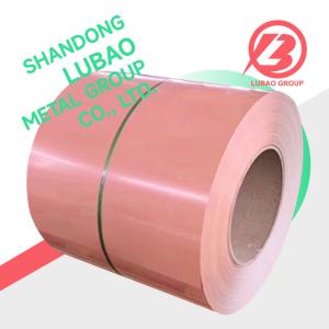 China 914/1219/2438mm Ral color PPGI color coated steel coil for profiled tile roof structure rolling shutter door 0.45/0.5/0.6mm wholesale