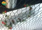 13.7x236 Inch Galvanised Chicken Wire Mesh 19 Gauge 22 Gauge