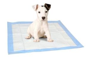China OEM Puppy Pee Pads 15g 4 Layer 60x60 Xxl Wee Wee Pads wholesale