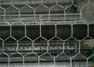 China Electro Galvanized After Weaving Hexagonal Chicken Wire Mesh Netting wholesale
