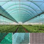 Customizable Weather Resistant HDPE Shade Cloth Net For Agricultural Sun