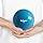Innovations Weighted Exercise Toning Ball - Set Of 2 (6Lbs)