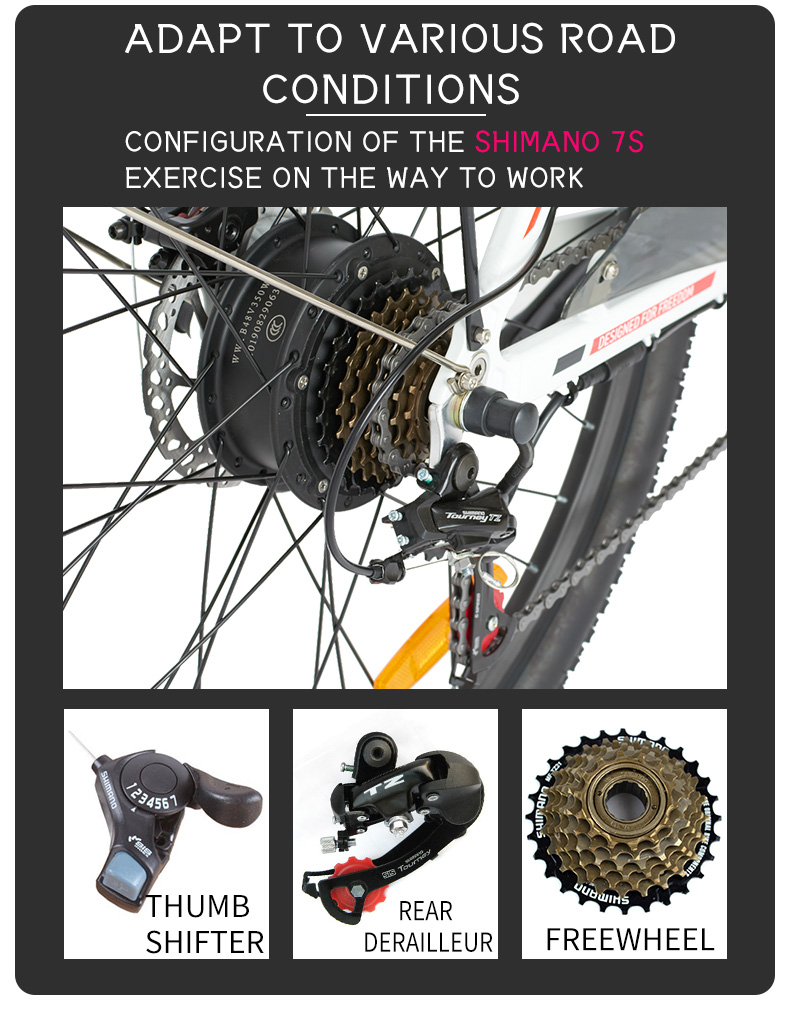 48V Lithium Battery Powered Mountain Bike Electric Dirt Bike 20 Mph