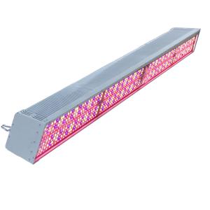 China 660nm Red UV LED Supplemental Grow Lights Lm301b AC 240V For Plants wholesale