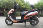 EEC DOT EPA PALADIN Ⅶ 50cc Gas 2-stroke 4-stroke single-cylinder air-cooled