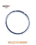 Truck Spare Parts WG2210100009 Synchronizer Ring WG2210100109
