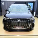 2024 Voyah Free Dreamer Left Hand Luxury Leather MPV EV Maximum Torque 620Nm