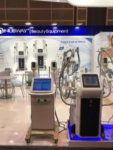 China accurate time temperature and vacuum control 4 head coolplas cryolipolysis machine wholesale