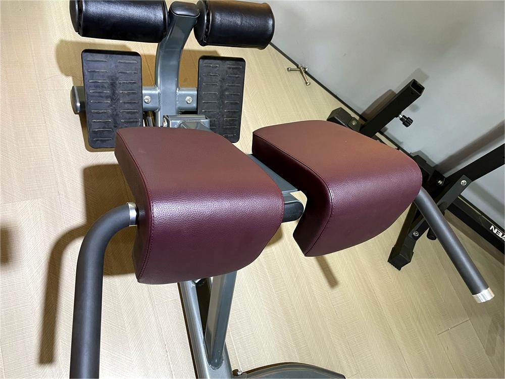 Hot Selling Gym Fitness Exeserces 45 Degree Back Extension Machine Roman Chair