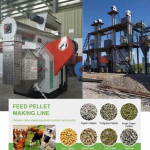 China 100kg To 10 Ton Pellet Mill Machine Animal Feed Pellet Production Line Biomass Fuel on sale