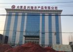 Red Yidu Chili Tianying Jinta Chili American Red Chilli New Crop FDA HACCP ISO