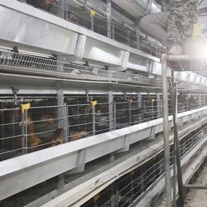 China High Performance Pyramid Chicken Cage , Automatic Poultry Feeding Equipment wholesale