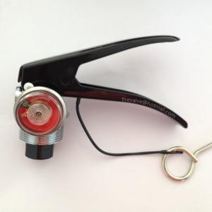 China indian type fire extinguisher valve normal 5kg with pressure gauge wholesale