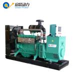 100kVA Natural Gas Generator LPG Generator