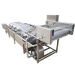 300kg/H Vegetable And Fruit Washing Machine