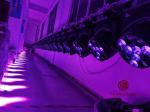 12*40W LED Zoom Wash Moving Head Light For Disco Night Club Stage Performance