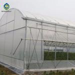 Gutter Height 2-6m Gothic Arch Greenhouse , Shade Net Greenhouse For Ecological