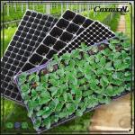 72 Cells Nursery Tray Plastic Seedling Tray Mango Plant Strawberry Seedling