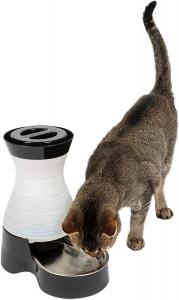 China Stainless Steel Automatic Pet Food Station With Microchip on sale