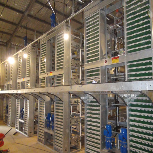 50000 Layers Farm Poultry Chicken Cage Equipment
