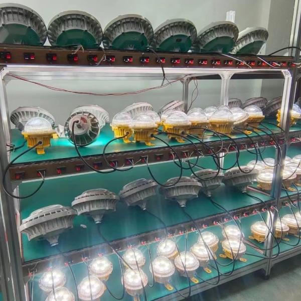 Explosion Proof LED High Bay Fixtures Hazardous Area Ceiling Lamps 36vdc 10w 20w