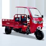 Single Cyclinder 4 Stroke Engine Type Trikes 3 Wheel Motorcycle for Everyday