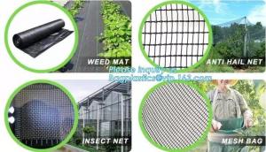 China Best-selling product agricultural product fruit fly nets /vegetables anti fly net /greenhouse anti insect net for agricu on sale