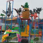 Middle Sized Outdoor Water Park Playgrounds 25m Length Oxidation Resistant
