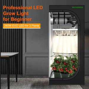 China BAVAGREEN 240W Samsung LM301H EVO Mint White LED Pflanzenlampe IR UV Full Spectrum Led Grow Light For 80x80x180 Growbox wholesale