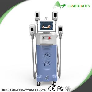 China cryo fat freeze cryolipolysis freezing slimming GERMANY skin cooling system wholesale