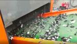2400F Felt Blanket Glass Fiber Resin Fiber Cutting Machine Cutting Motor 22KW