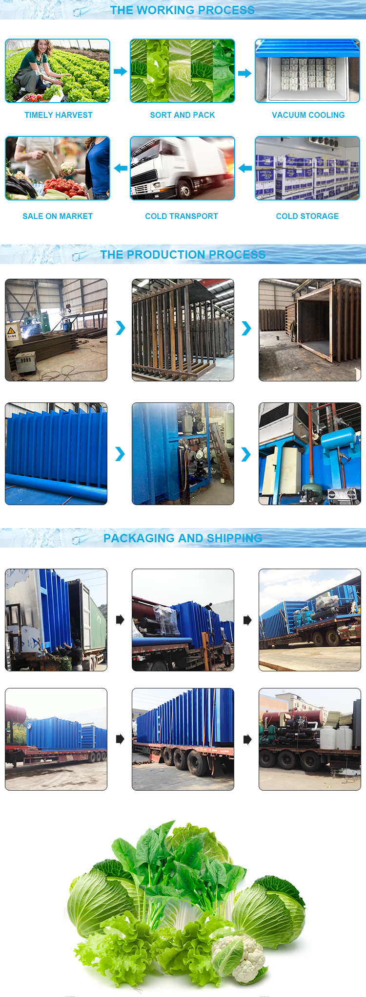 Lettuce Vacuum Cooling Machine Thick Steel Welding For Leaf Vegetable Farm