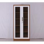 Two Door Folding Steel H1870 * W870 *D110mm Office Storage File Cabinet