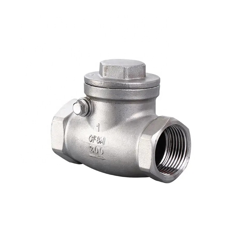 Cylindrical Head Code 316 Stainless Steel 201 304 Check Valve Npt Bsp Thread Spring Load