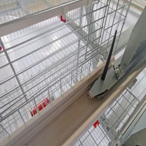 China Q235 Broiler Farm Battery Baby Chick Cage Good Isolation wholesale