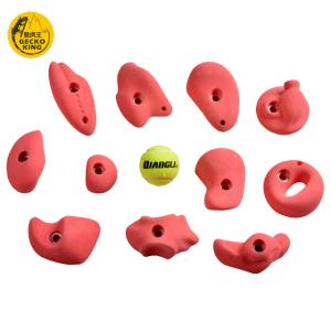 China GeckoKing Set of 11 Polyurethane Climbing Holds for Adult Rock Walls Durable and Materials wholesale