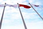 Tall Spectacular In Ground Flagpole , Variable Diameter Heavy Duty Flag Pole