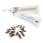 Targeted Infection Periplaneta Fuliginosa Cockroach Densonucleosis Virus PfDNV