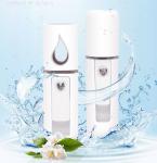 Skin Care 65.5g 20ml 450mAh USB Mini Handy Mist Sprayer