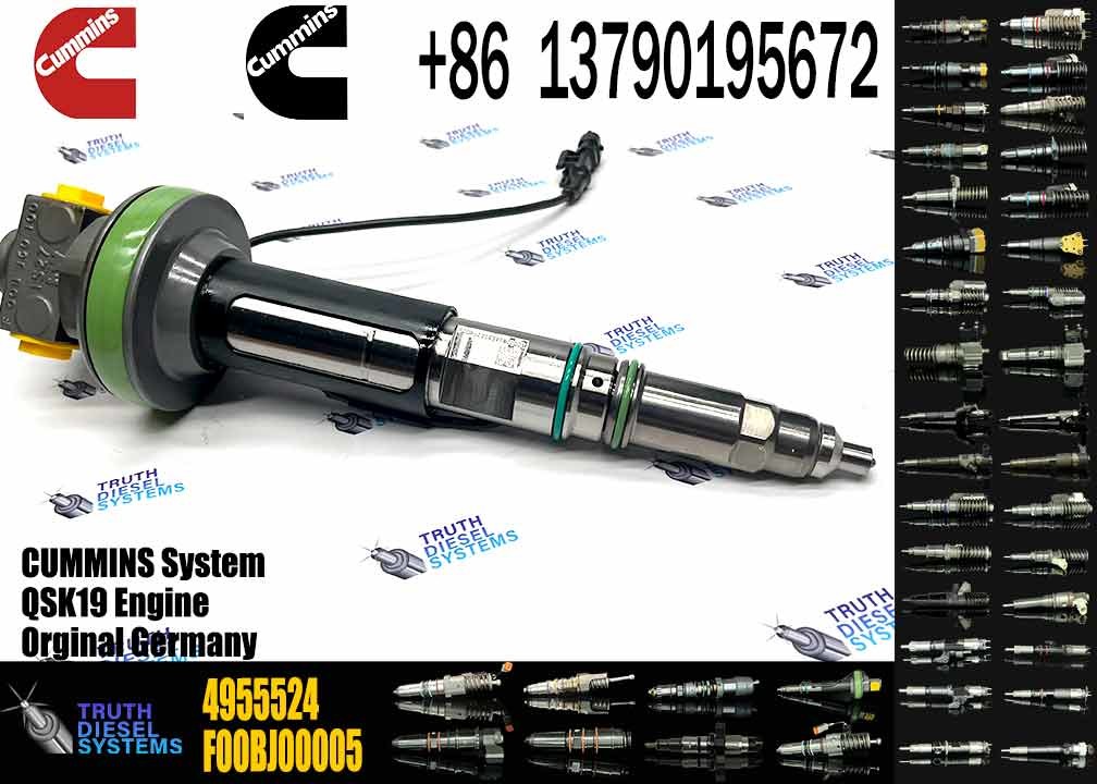 4964170 Diesel QSK19 Engine Common Rail Fuel Injector 4955524 2867149 4955527 2882079 4964173