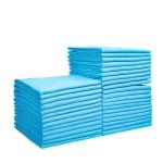 Extra Large Dog Pee Pads for Pet Training 600X600mm Absorbent Capacity 100