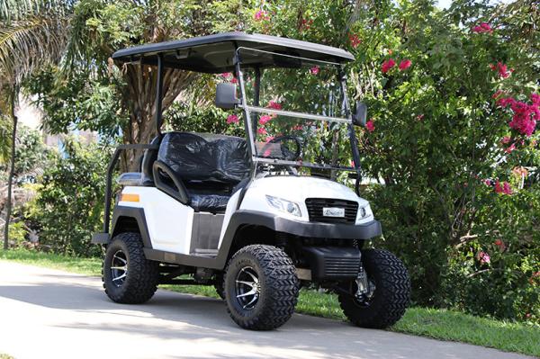 2+2 Lifted Electric Golf Car for Golf Course, Recreation Off-Road With Trojan